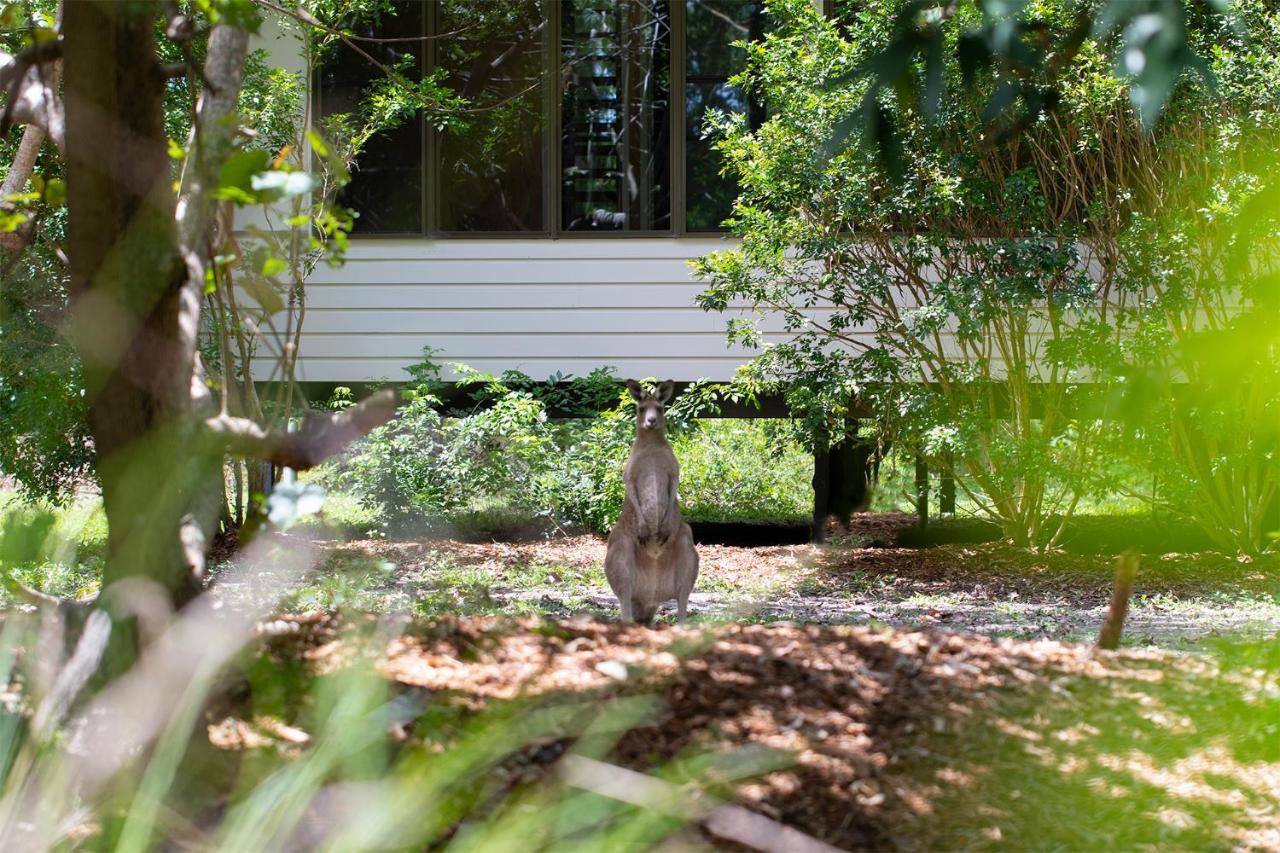 Eumarella Shores Noosa Lake Retreat Noosaville Exteriör bild