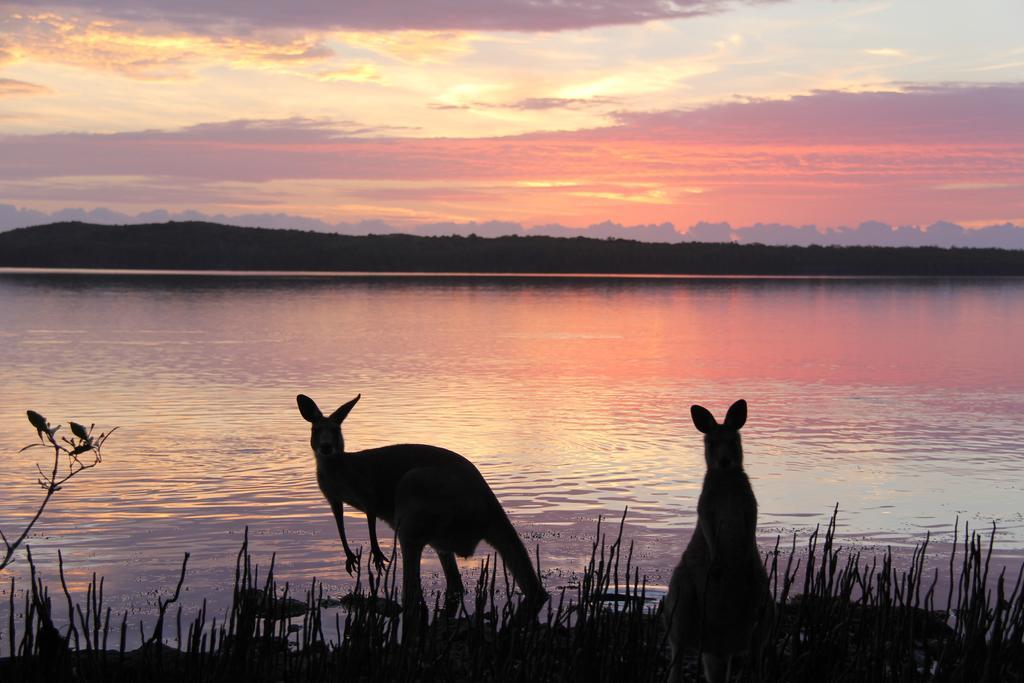 Eumarella Shores Noosa Lake Retreat Noosaville Exteriör bild