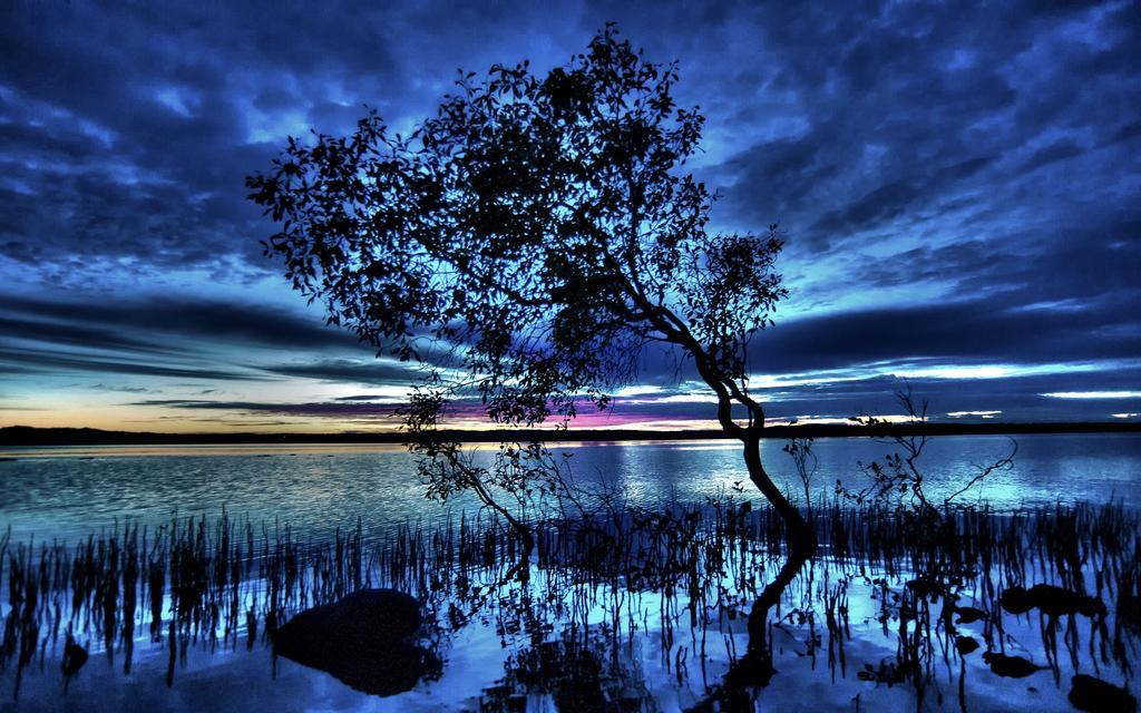 Eumarella Shores Noosa Lake Retreat Noosaville Exteriör bild