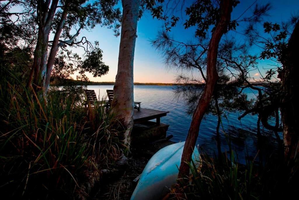 Eumarella Shores Noosa Lake Retreat Noosaville Rum bild